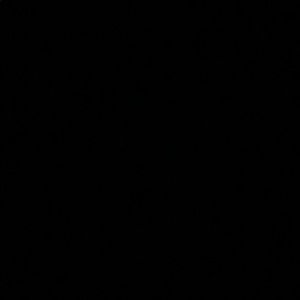 Meet your Posher, Penelope